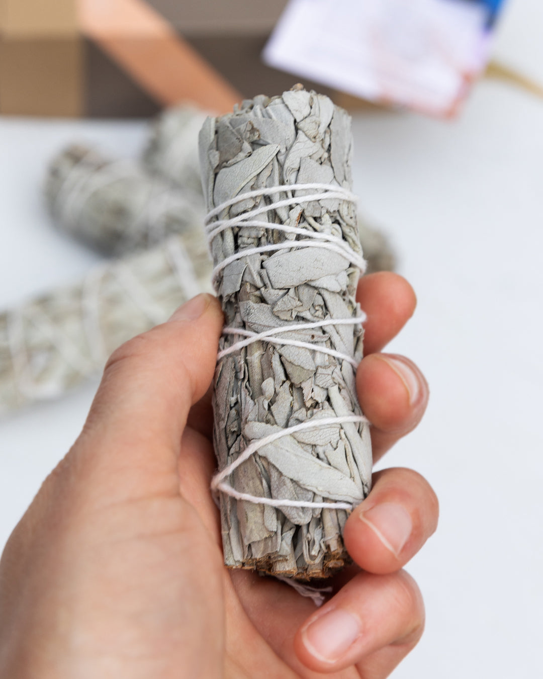 Weisser Salbei