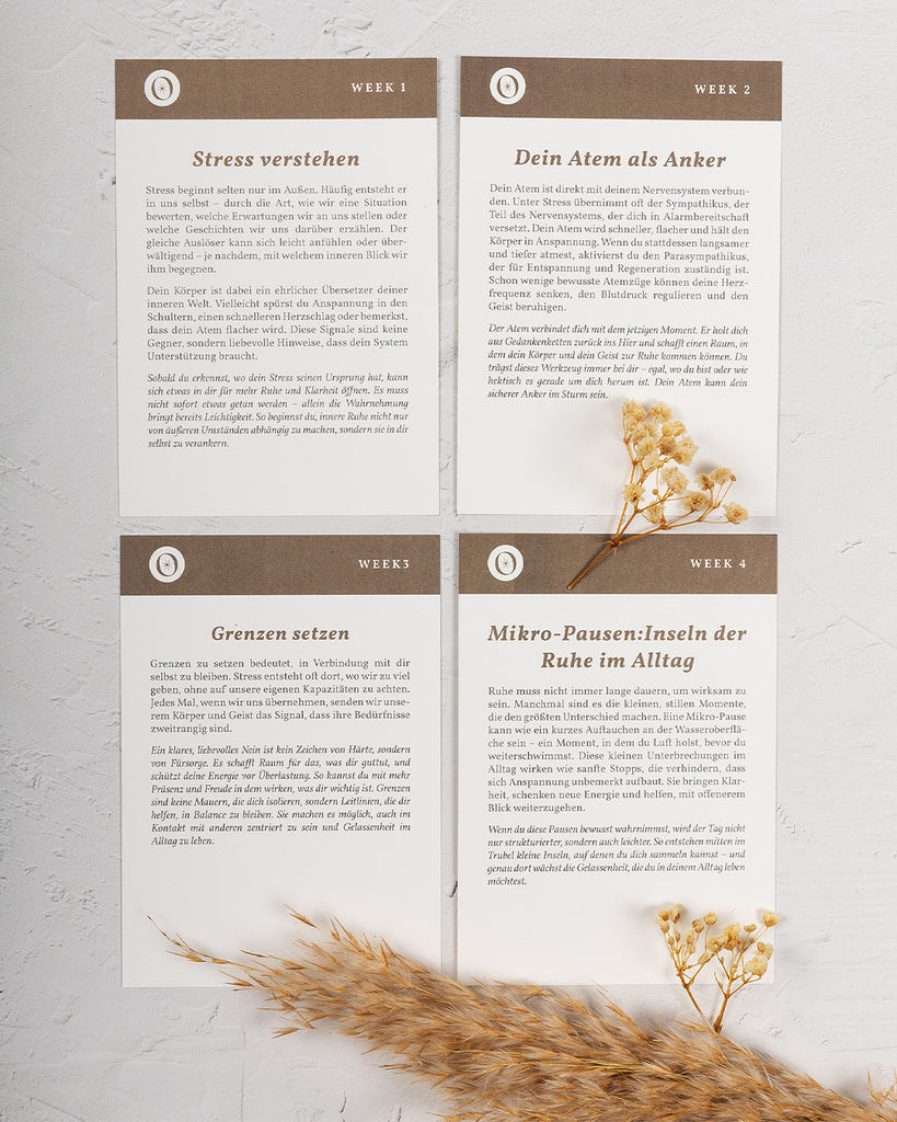 anti Stress inhalt mit mind cards 