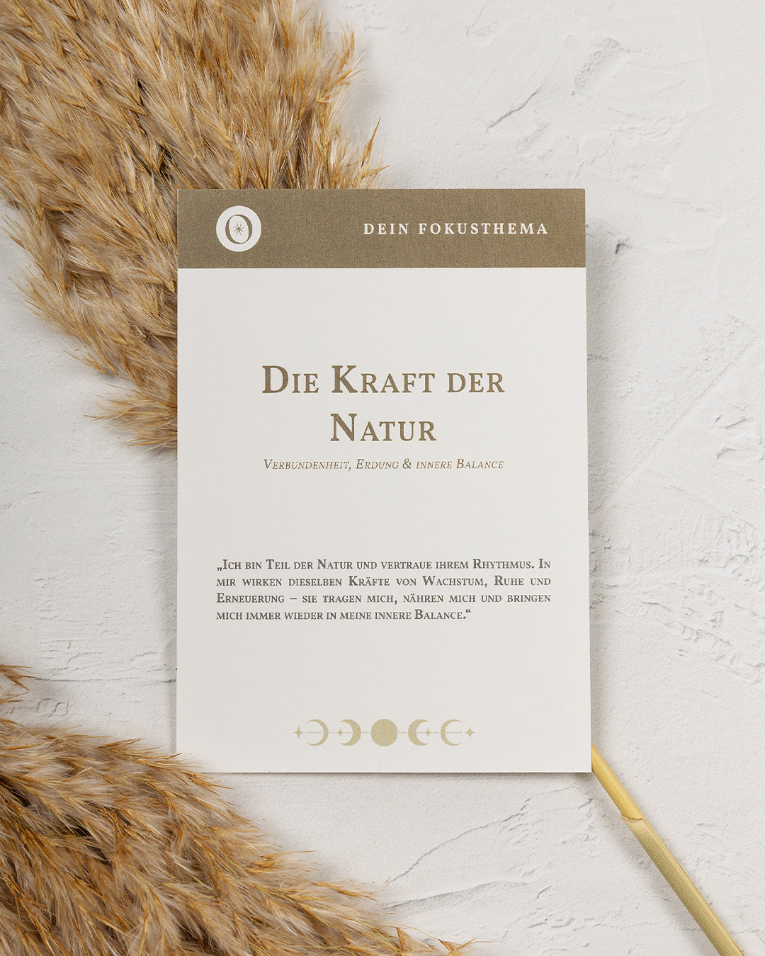 Kraft der Natur 